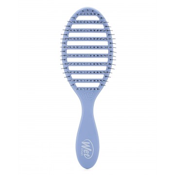Wet Brush Speed Dry - Sky
