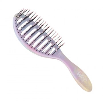 Wet Brush Speed Dry...
