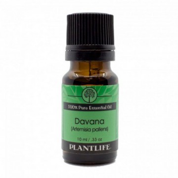 Plantlife Essential Oil, Eucalyptus - 0.33 oz