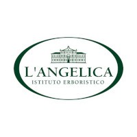 L’Angelica